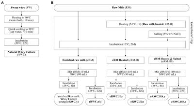 Selective enrichment of the raw milk microbiota in cheese production: Concept of a natural adjunct milk culture